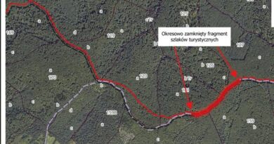 Czasowe zamknięcie szlaków. Nadleśnictwo Brzozów apeluje do turystów Czasowe zamknięcie szlaków. Nadleśnictwo Brzozów apeluje do turystów