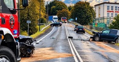 Dwa zdarzenia na DK28 w Rymanowie. Najpierw jeleń, chwilę później zderzenie pięciu aut