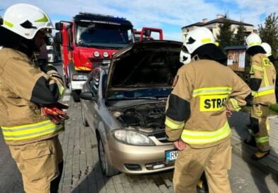 Dym spod maski auta. Interweniowali strażacy z Grabownicy Starzeńskiej