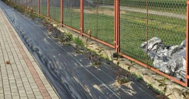 Ktoś ukradł świeżo posadzone hortensje. Gmina zapowiada zgłoszenie na policję
