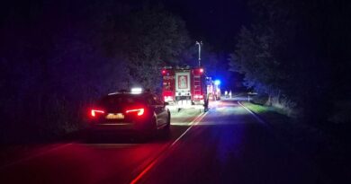 Radiowóz zderzył się z jeleniem w Niewistce
