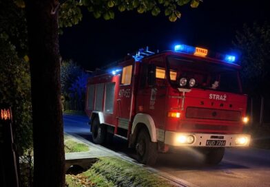 Pożar sadzy w kominie w Warze. Interweniowali strażacy