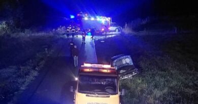 Dachowanie Audi w Wesołej. 13-latek trafił do szpitala