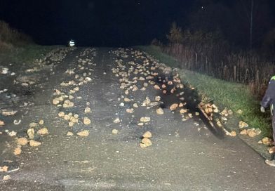 Rozsypane buraki na drodze w Jabłonicy Ruskiej. Interweniowali strażacy