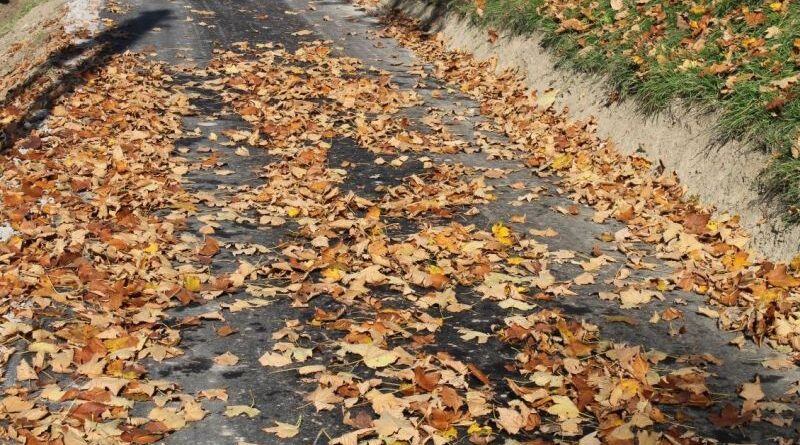 Jesienne warunki na drogach. Policja apeluje do kierowców i pieszych