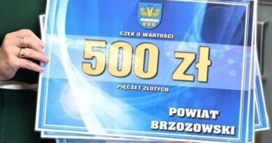 Most w Niewistce ma już swoją nazwę. Połączono dwie propozycje